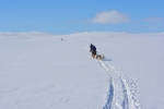 Lapplands Drag – Husky Expedition: Auf dem Hochplateau