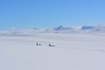 Lapplands Drag – Husky Expedition: Auf dem Hochplateau