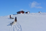 Lapplands Drag – Husky Expedition