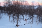 Lapplands Drag – Husky Expedition