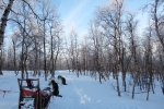 Lapplands Drag – Husky Expedition
