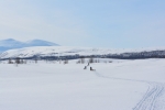 Lapplands Drag – Husky Expedition