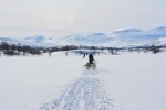 Lapplands Drag – Husky Expedition