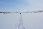 Lapplands Drag – Husky Expedition