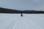 Lapplands Drag – Husky Expedition