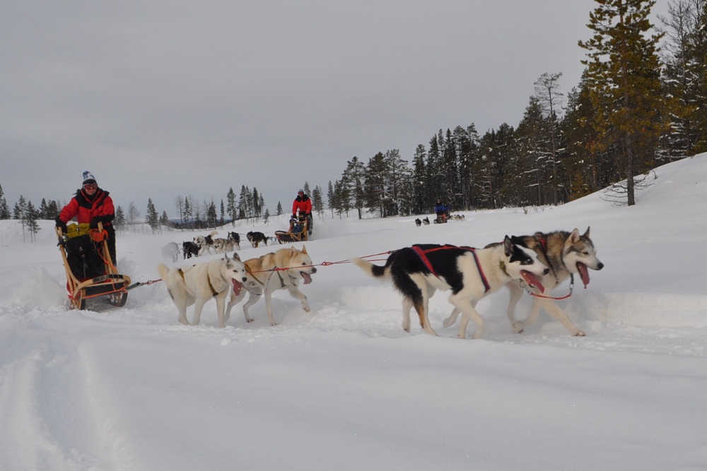 Lapplands Drag: Rasant um die Kurve