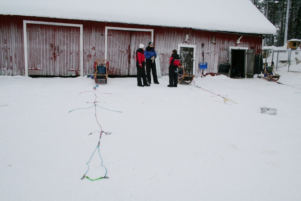Lapplands Drag: Die Zugleine liegt bereit