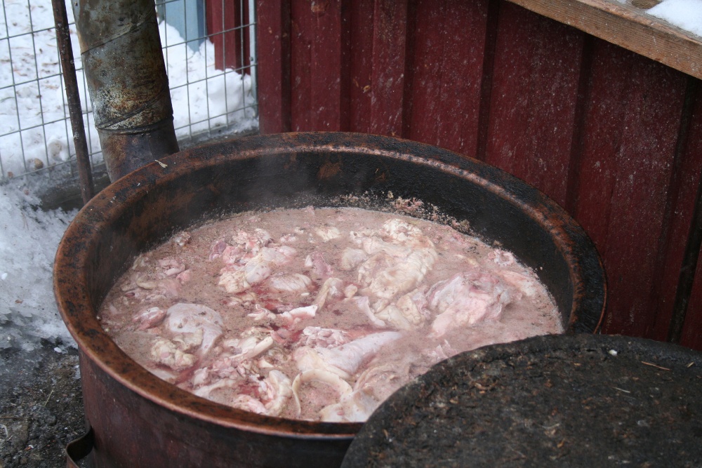Lapplands Drag: Deftige Fisch-/Elchsuppe - zum Glück nur für die Hunde