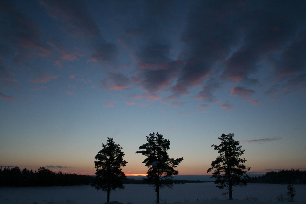 Lapplands Drag: Traumhaftes Lappland