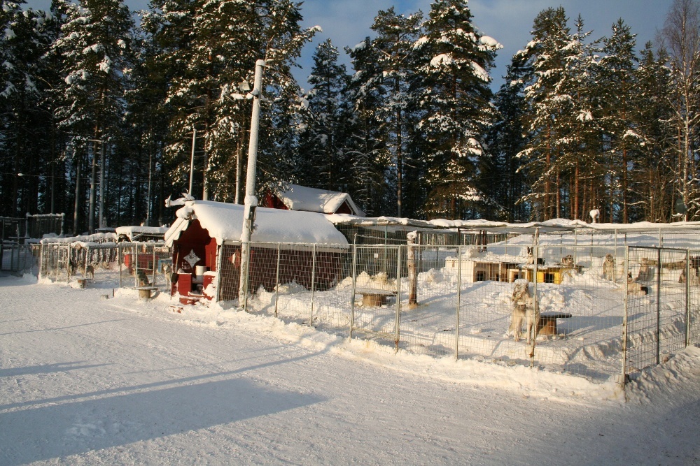 Lapplands Drag: Die Zwingeranlage
