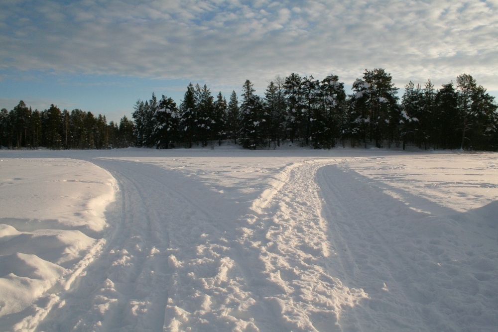 Lapplands Drag: 'Haw' links - 'Gee' rechts...