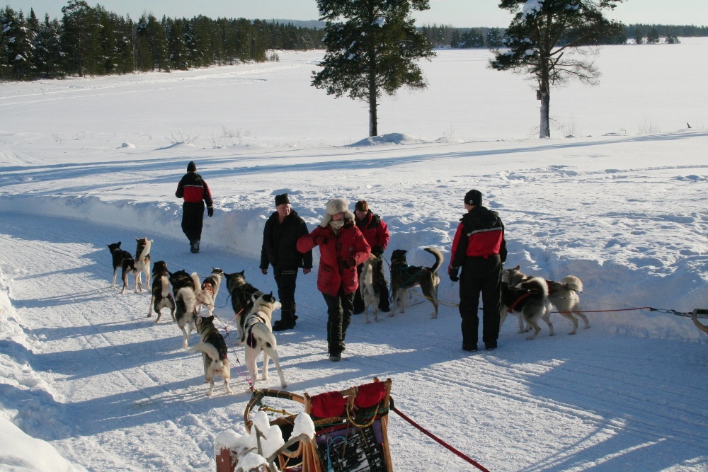 Lapplands Drag: Unmittelbar vor dem Start
