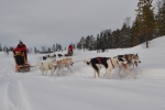 Lapplands Drag: Rasant um die Kurve