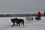 Lapplands Drag: Heinecken und Holtan geben das Tempo vor