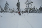 Lapplands Drag: Die Verfolger im Nacken