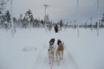 Lapplands Drag: Unberührte Natur