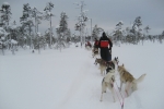 Lapplands Drag: Immer diese Staus...