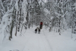 Lapplands Drag: Blick zurück