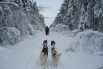Lapplands Drag: Laufen, laufen, laufen...