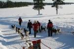 Lapplands Drag: Unmittelbar vor dem Start