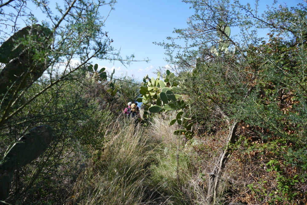 Liparische Inseln - Lipari - Westküstenwanderung