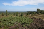 Lüneburger Heide - Blick vom Wilseder Berg