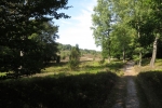 Lüneburger Heide - Steingrund