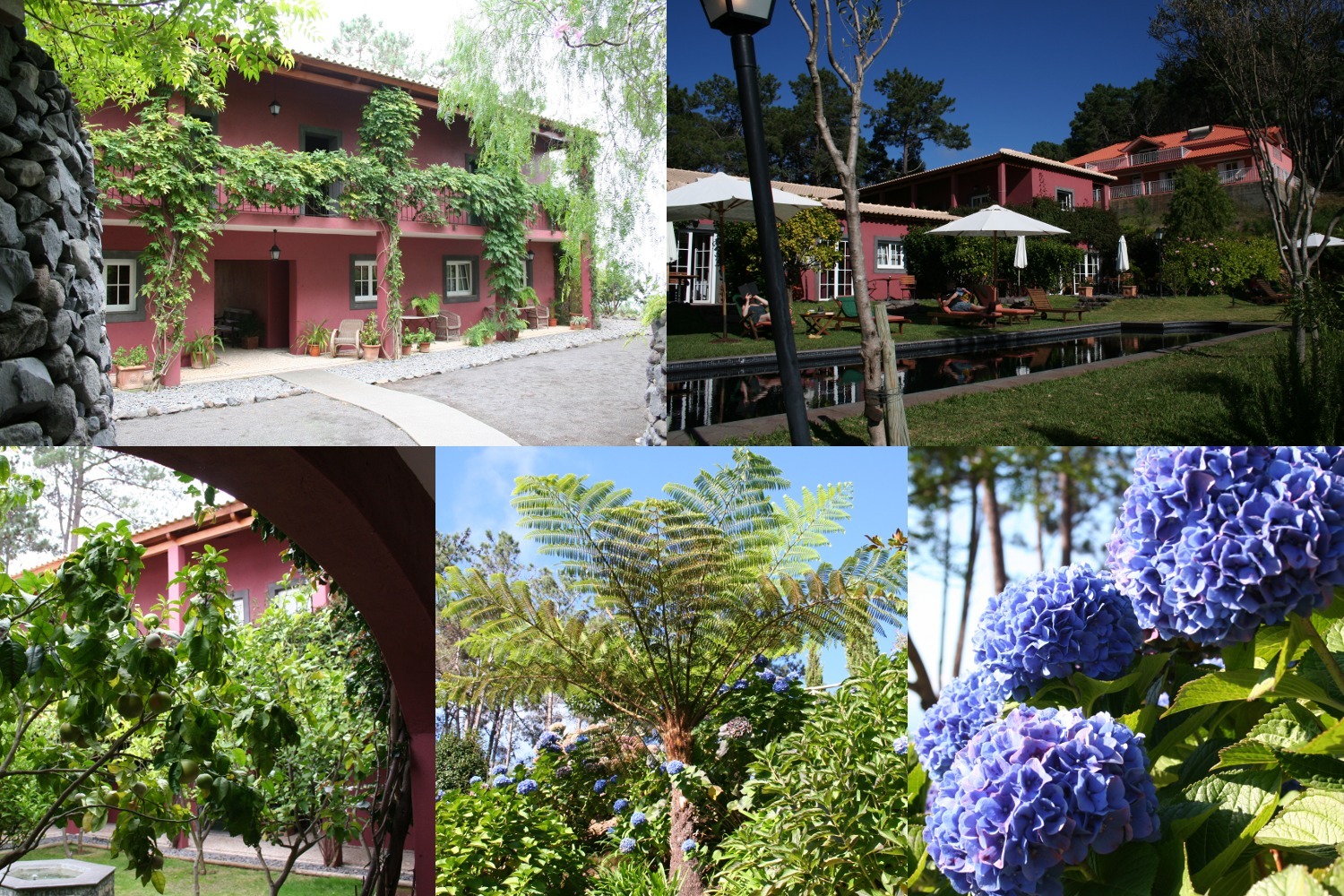 Madeira - Hotel Atrio