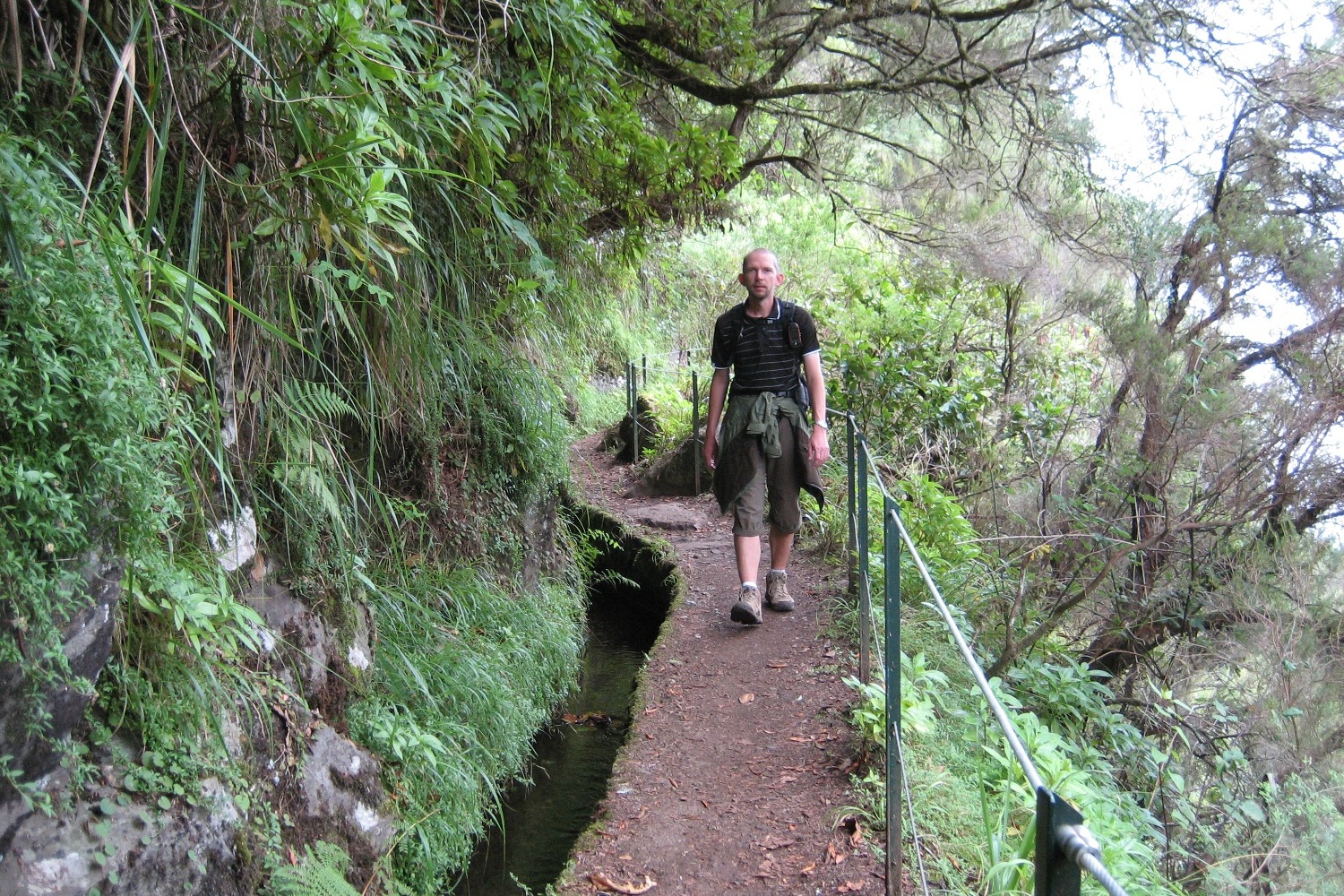 Madeira - Levada do Caldeirao Verde