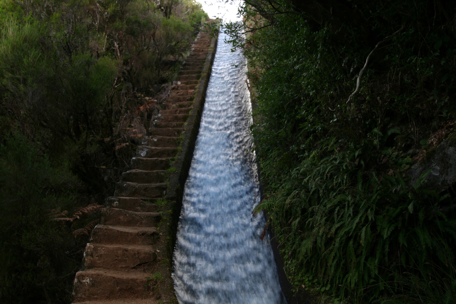 Madeira - Stairway to Heaven