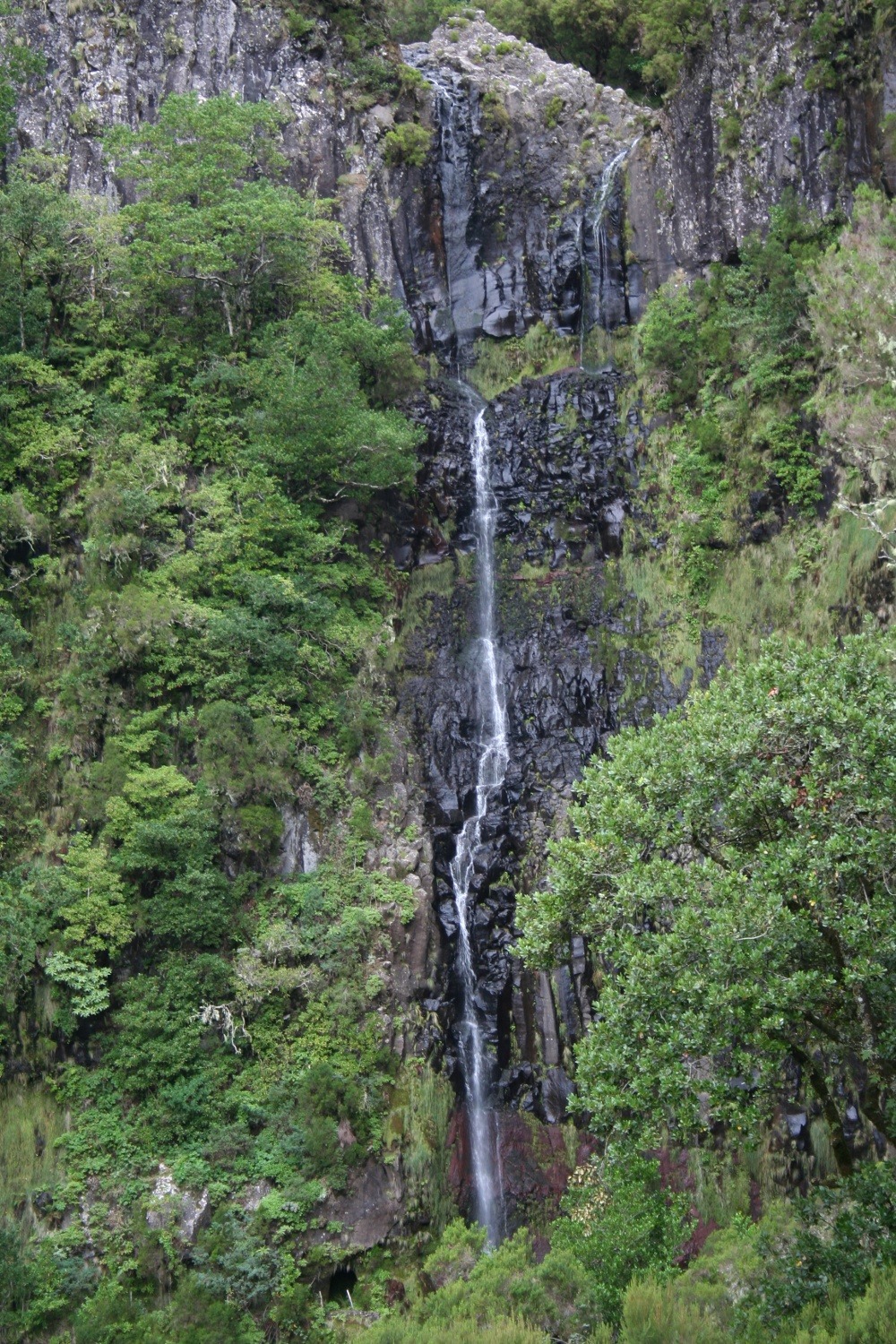 Madeira - Risco-Wasserfall