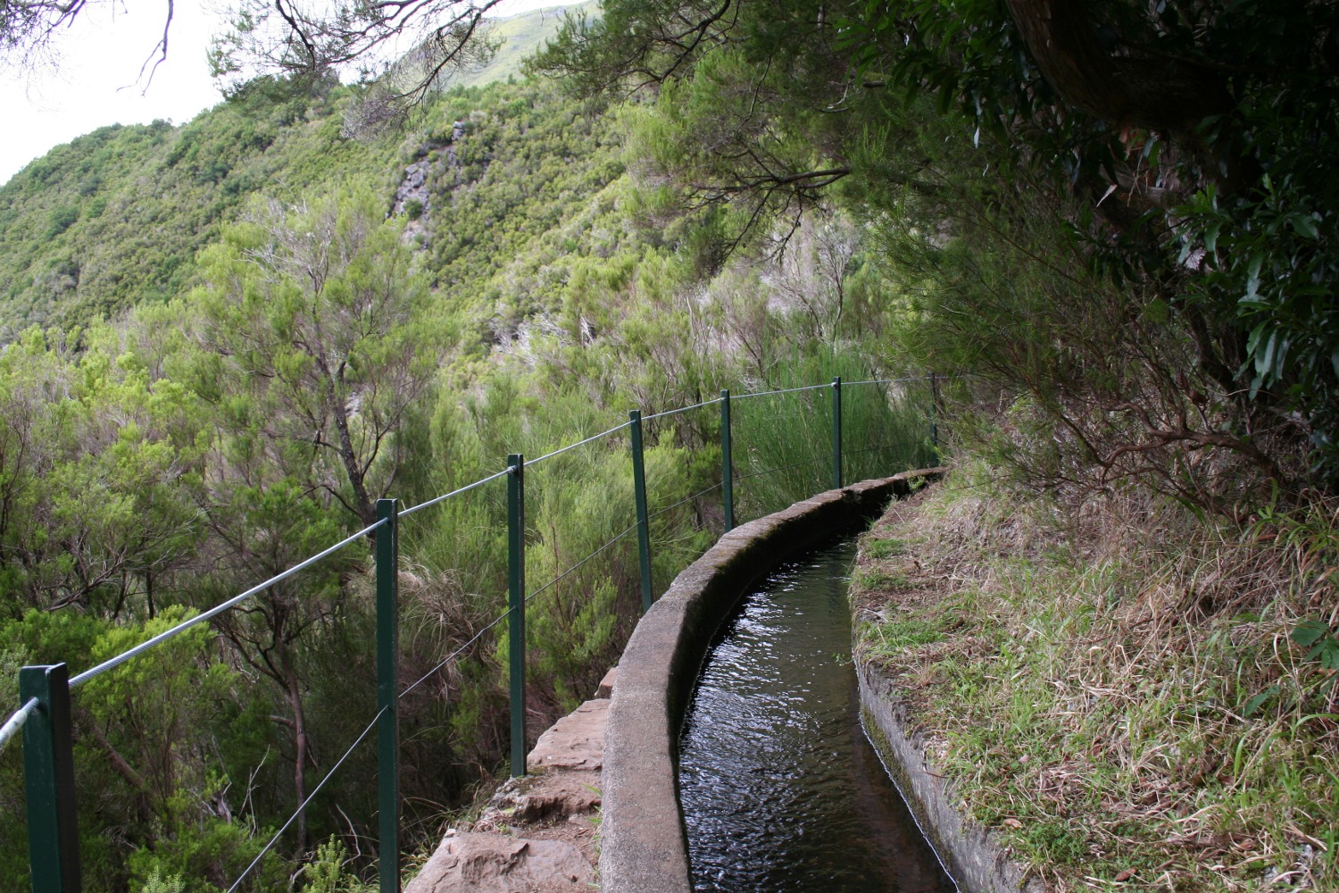 Madeira - Levada das 25 Fontes
