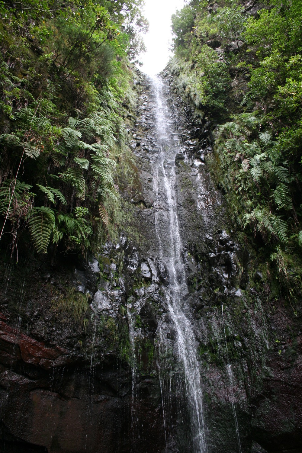 Madeira - 25 Fontes
