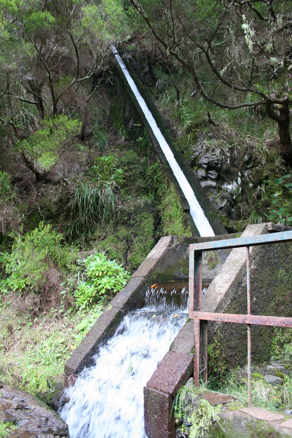 Madeira - Levada-Zufluss