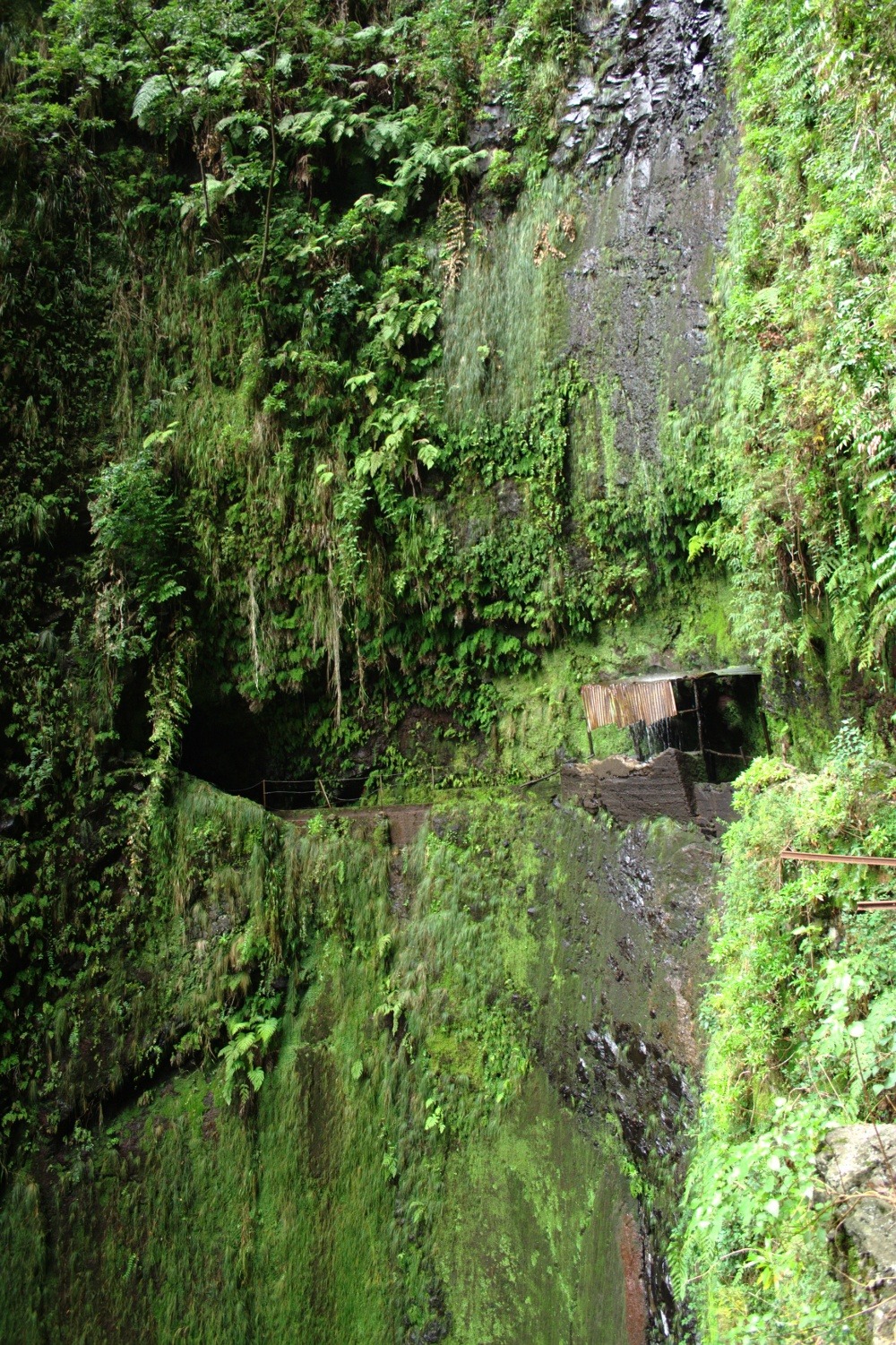 Madeira - Wasserfall an Levada da Janela