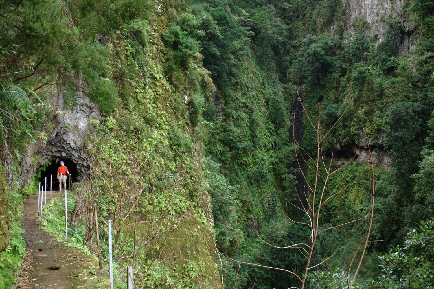 Madeira - Tunnel an Levada da Janela