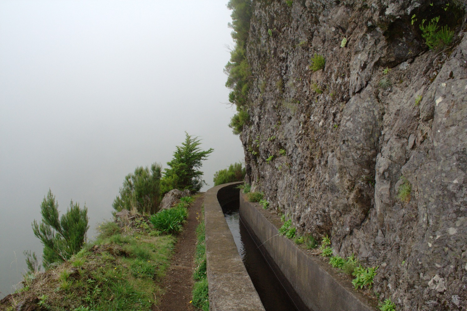 Madeira - Levada das Rabacas