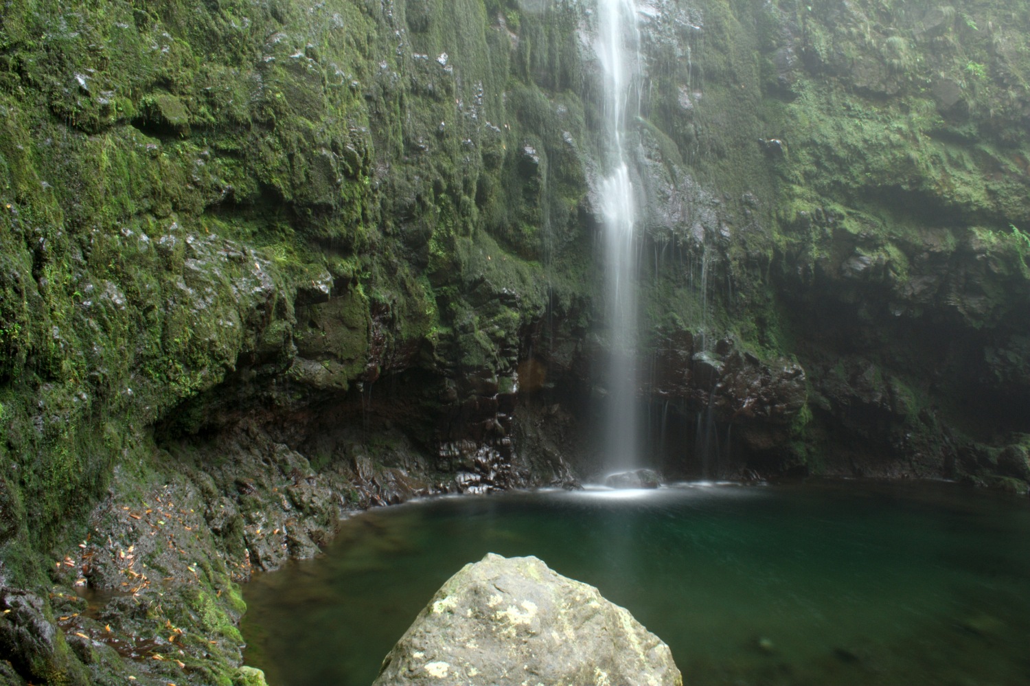 Madeira - Caldeirao Verde