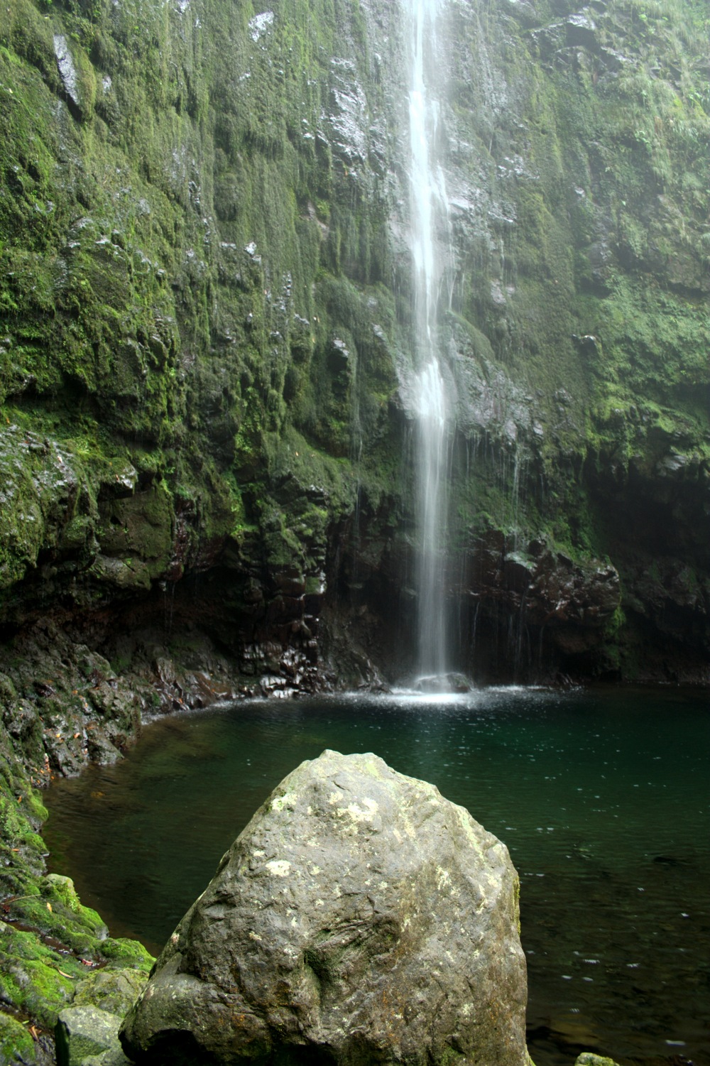 Madeira - Caldeirao Verde
