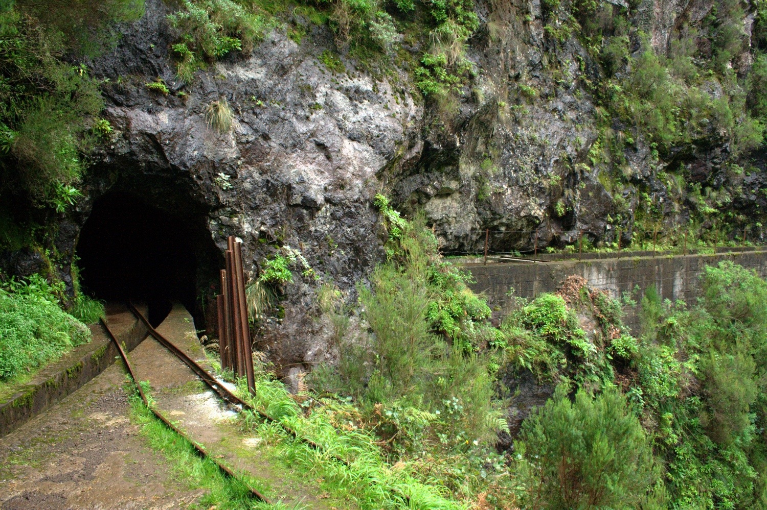 Madeira - Am anderen Ende vom Pico Ruivo Tunnel