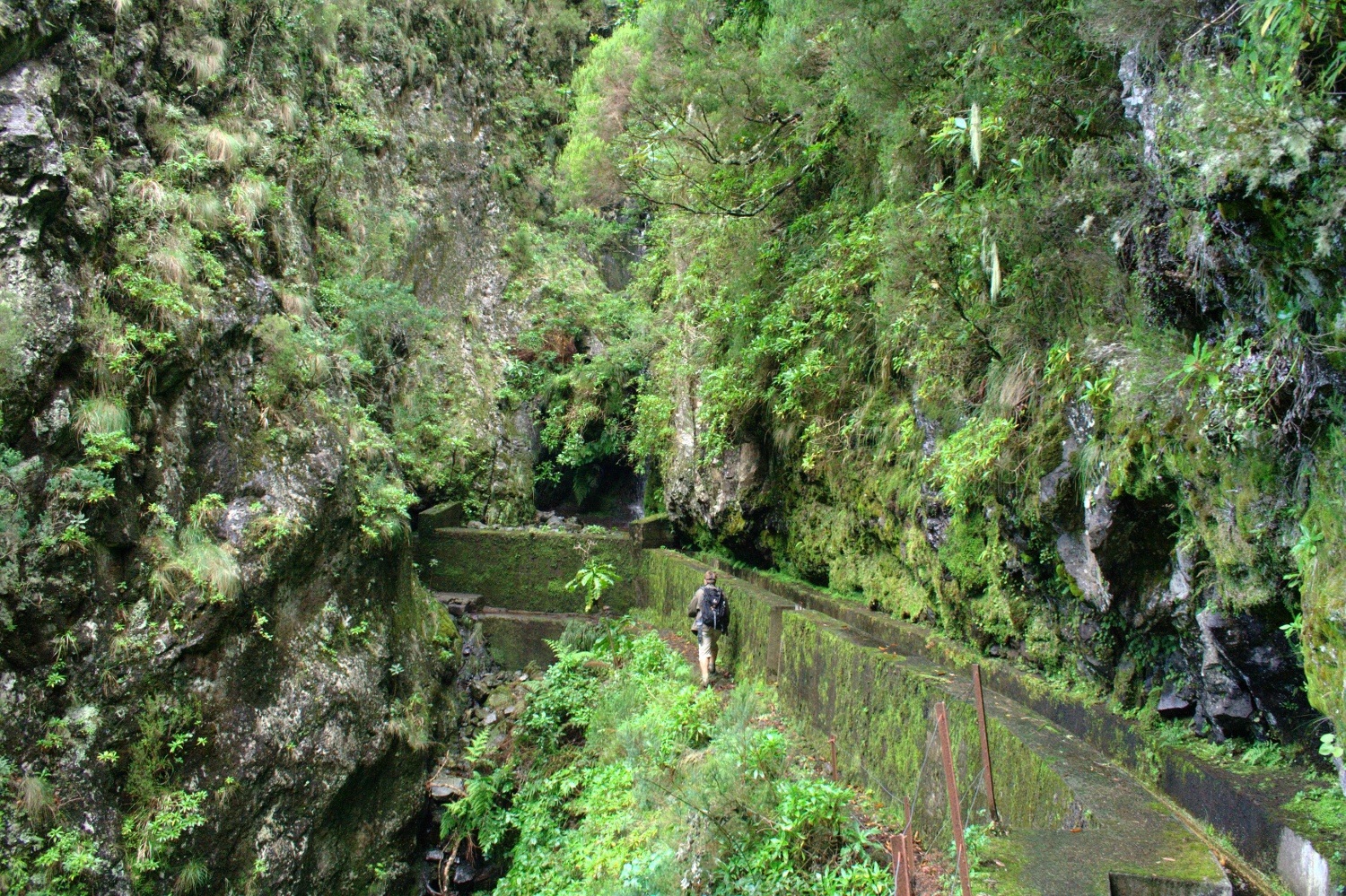 Madeira - Levada oberhalb des Weges