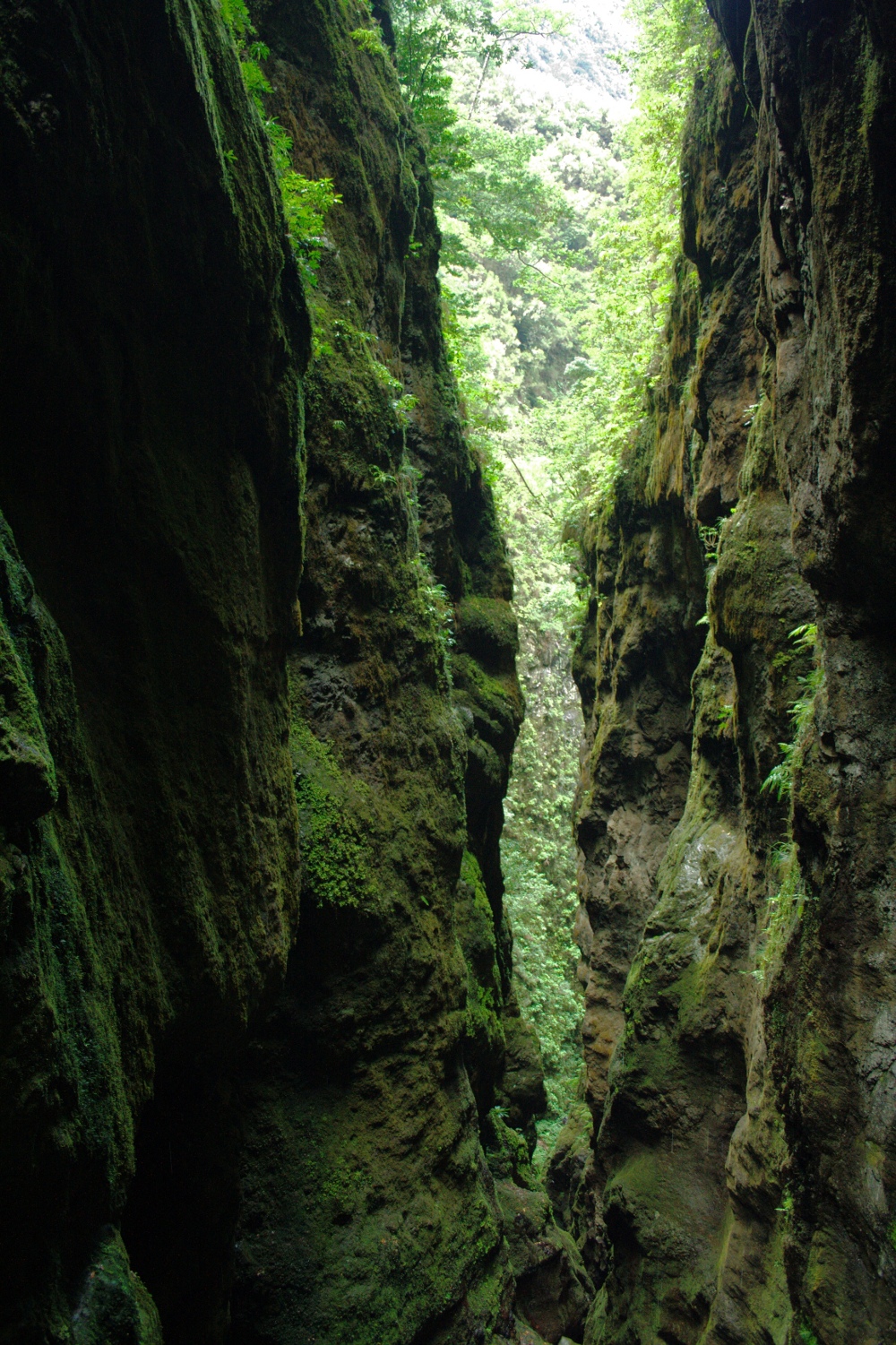 Madeira - Klamm der Ribeira Grande