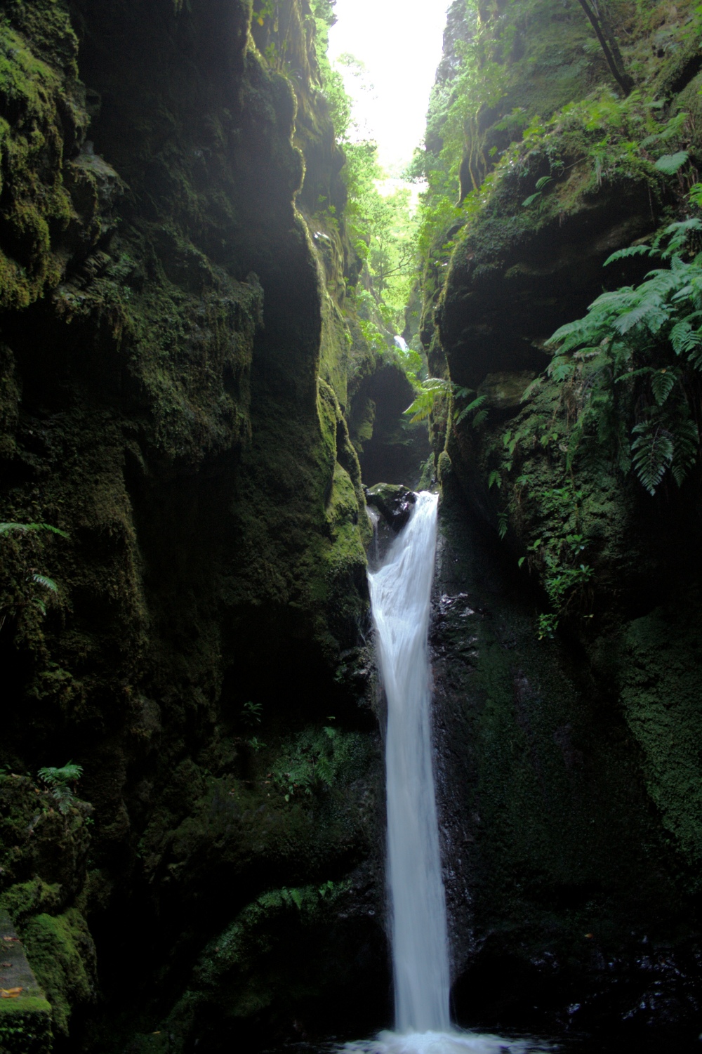 Madeira - Klamm der Ribeira Grande