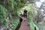 Madeira - Levada do Caldeirao Verde