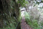 Madeira - Levada do Caldeirao Verde