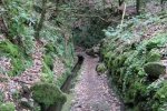 Madeira - Levada do Caldeirao Verde