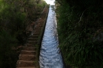 Madeira - Stairway to Heaven