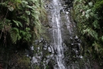 Madeira - 25 Fontes