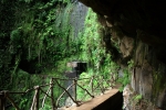 Madeira - Wasserfall an Levada da Janela