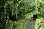 Madeira - Wasserfall an Levada da Janela